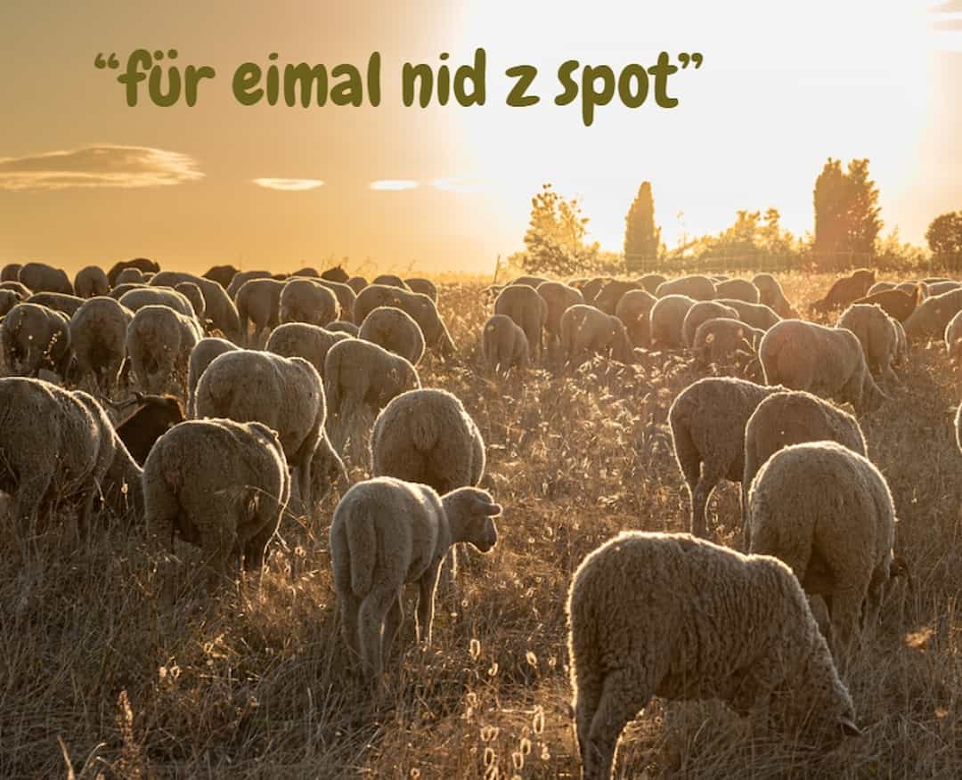 Für eimal nid z spot